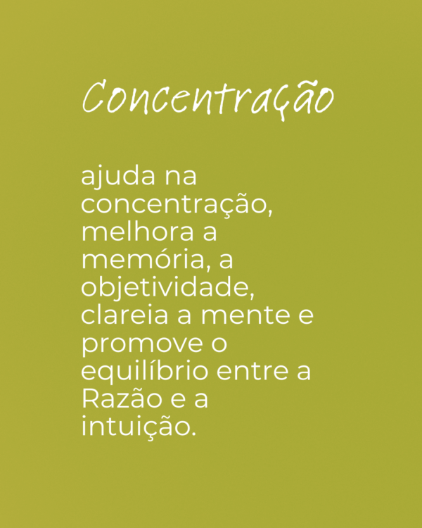 Concentração - Image 2